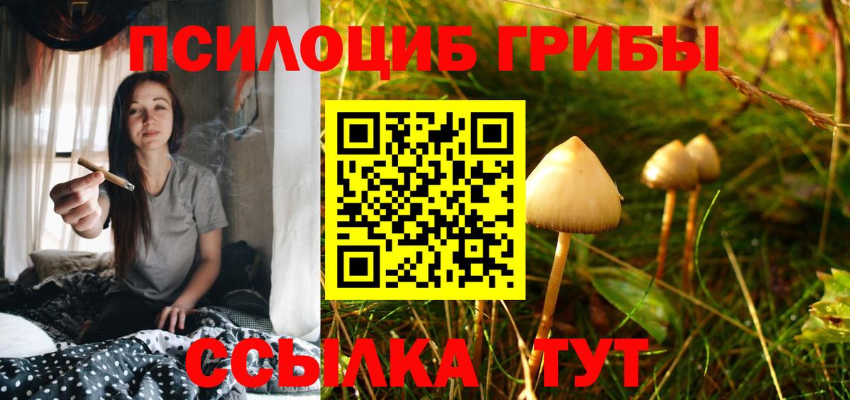 Жигулёвск  Галлюциногенные грибы Magic Shrooms  Галлюциногенные грибы Magic Shrooms  Вход с VPN 